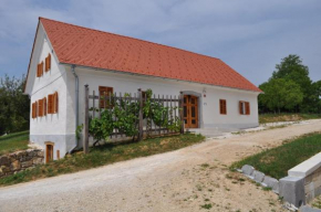  Apartments Koptur  Шкоциан